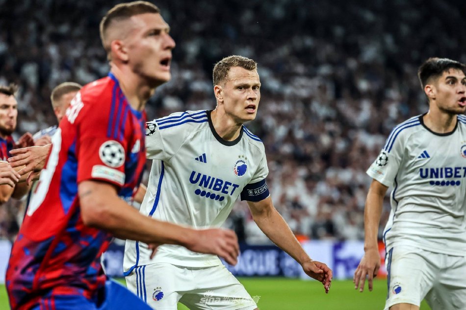 既是他们作 既是他们作